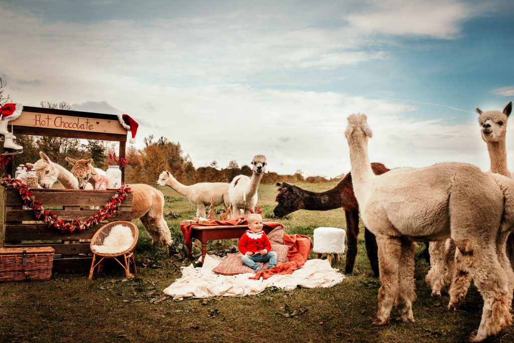 Weihnachtsshootings Familienfotos