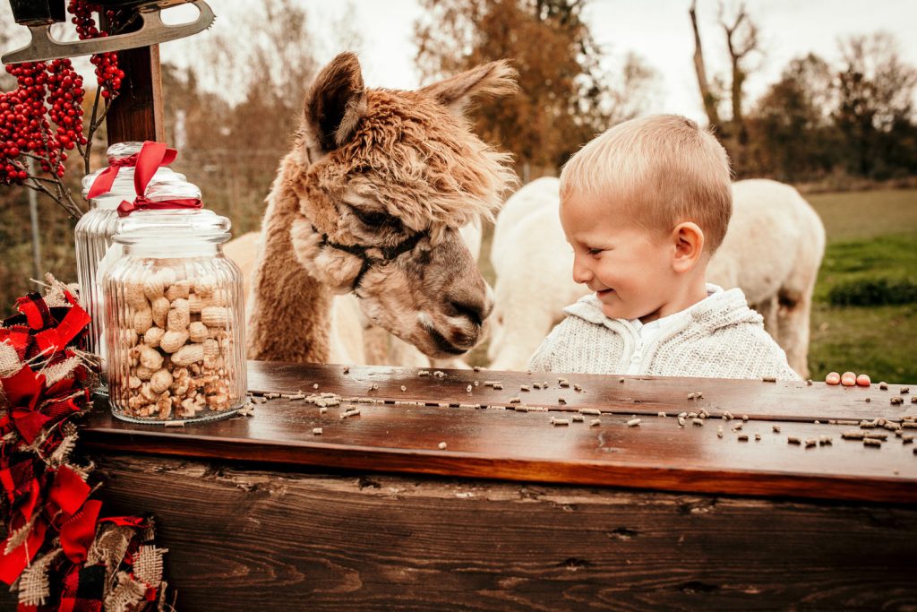Weihnachtsshootings Familienfotos