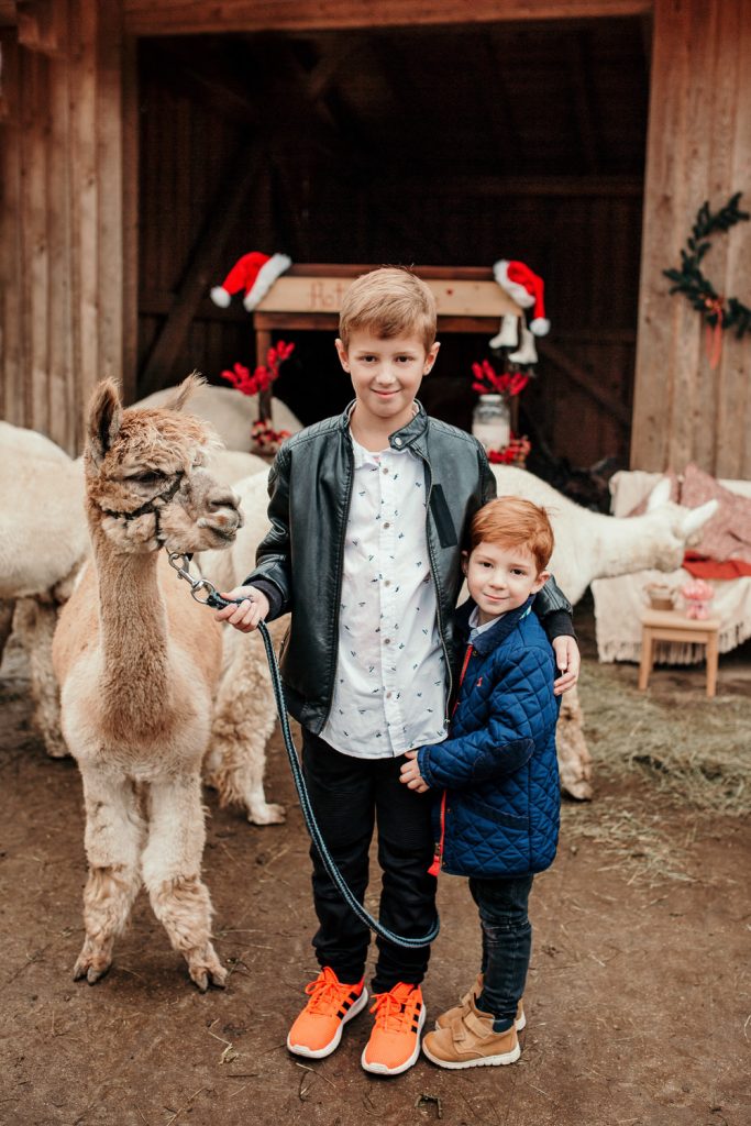 Weihnachtsshootings Familienfotos