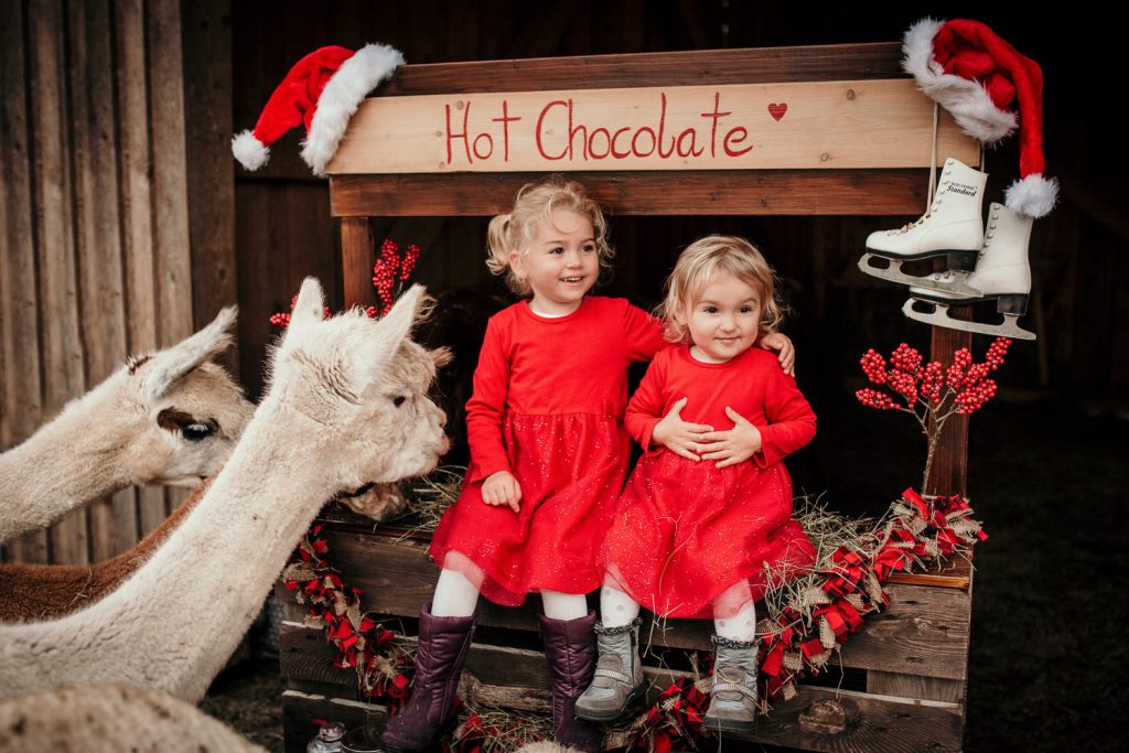 Weihnachtsshootings Familienfotos