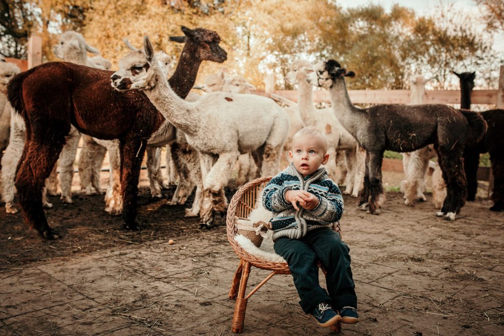 Weihnachtsshootings Familienfotos