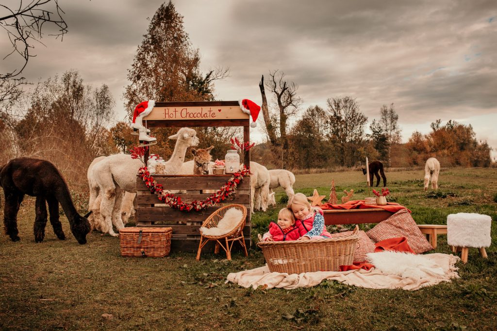 Weihnachtsshootings Familienfotos
