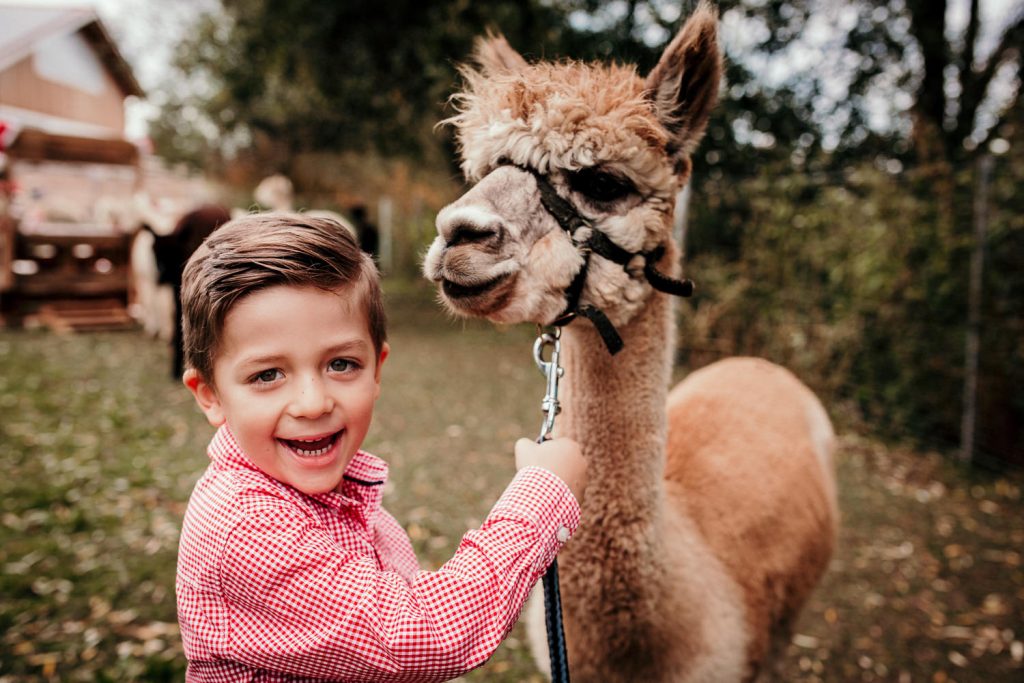 Weihnachtsshootings Familienfotos