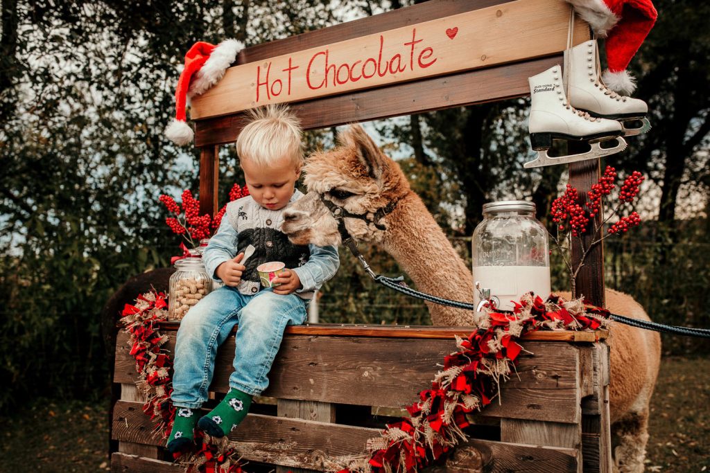 Weihnachtsshootings Familienfotos