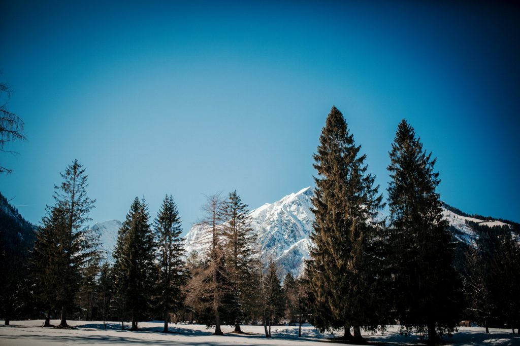 Pertisau Fotoshooting