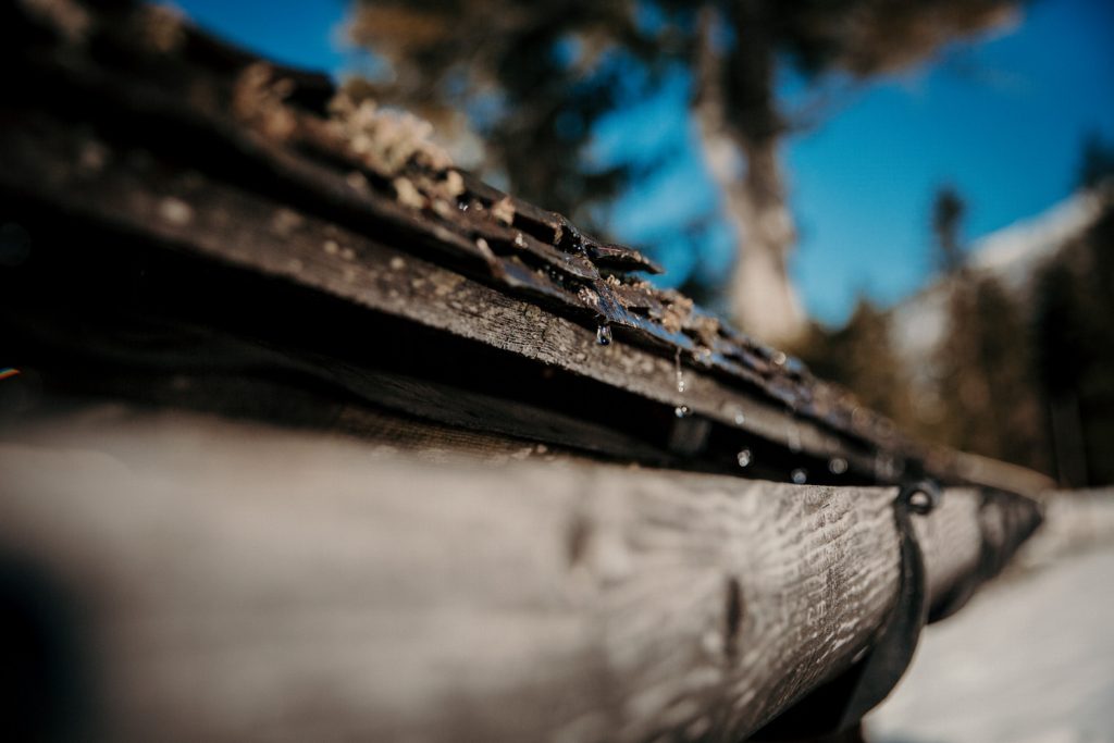 Portraitshooting Tirol