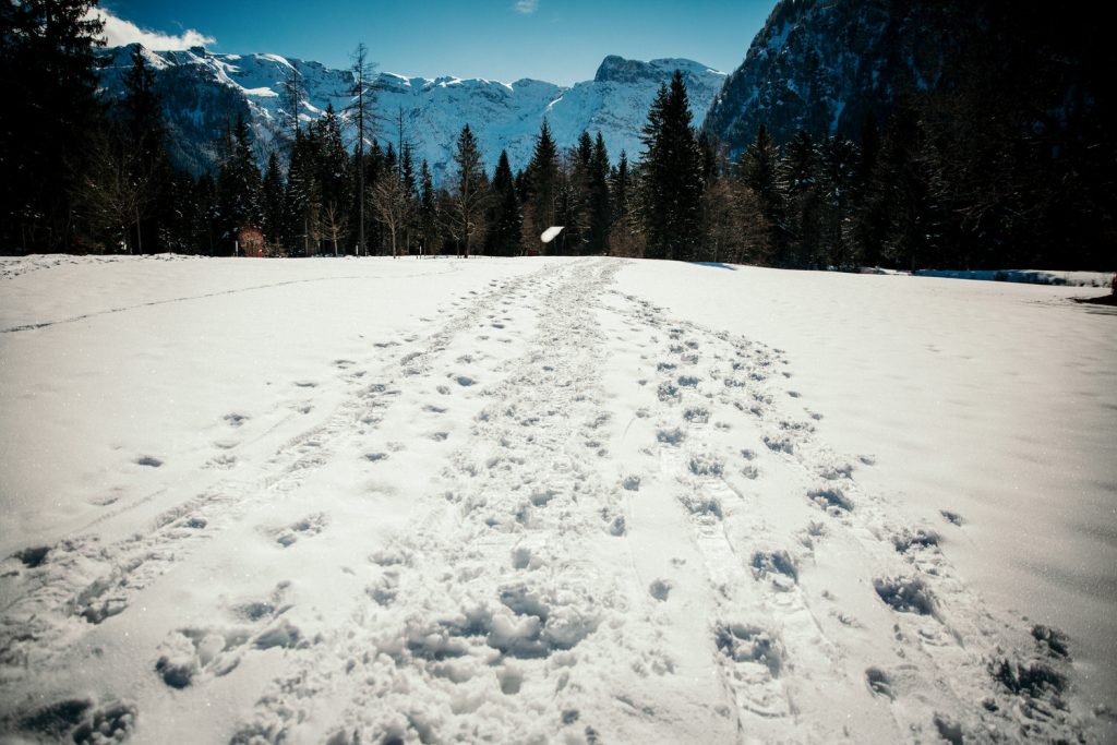 Portraitshooting Tirol