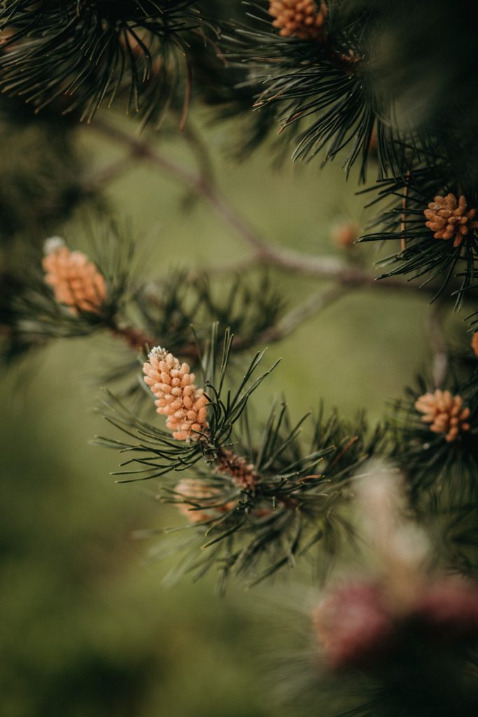 Fotoshooting Hohenpeißenberg