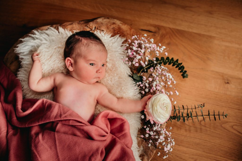 Babyshooting Polling